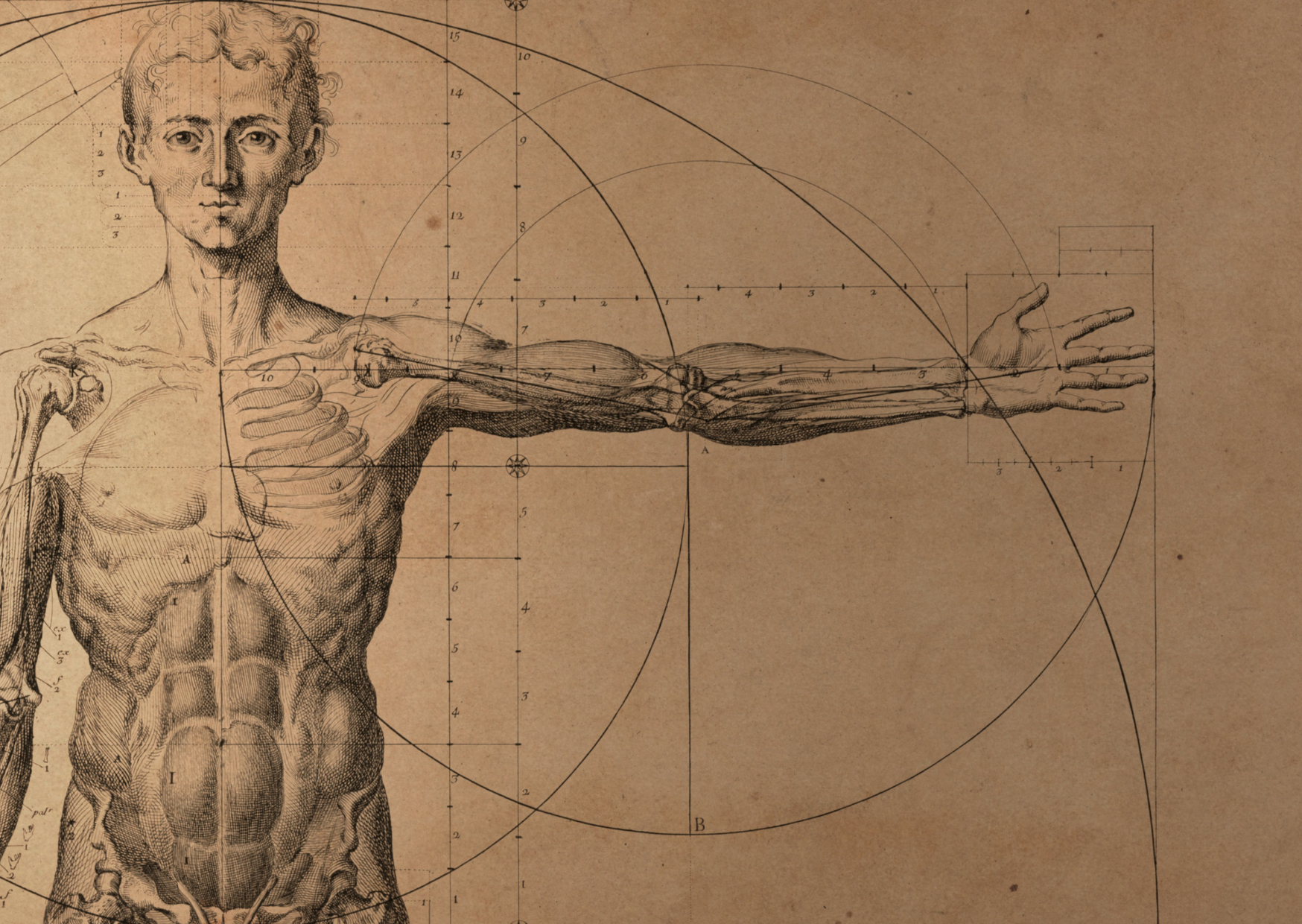 Riparazione Tissutale e Limfa® Therapy: un Nuovo Approccio per la Rigenerazione di Ossa, Muscoli, Tendini e Nervi